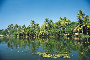 www.ayurveda-india.it: le backwaters nei pressi di alappuzha