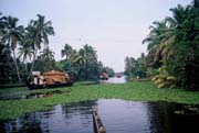 www.ayurveda-india.it:  Canali navigabili del Kerala - India del Sud