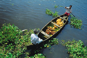 www.ayurveda-india.it: vita sulle backwaters