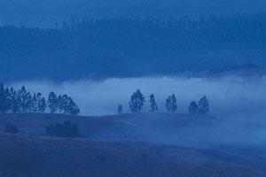 www.ayurveda-india.it:  mattuipetty, munnar